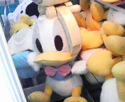 (*OށK)