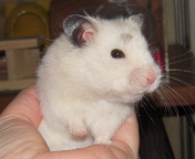 ��U�A�A��B