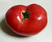 ł(KoK)