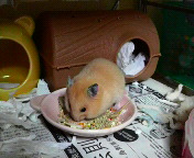 �K�c�K�c�c