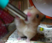 ������i*�������j