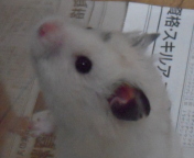 ���|���`���E