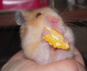 �K�b���I