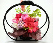 �v���[���g