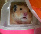 ������