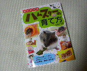 �v�킸�����Ă��`��