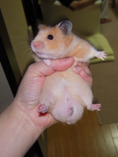 ܁`(^o^)/