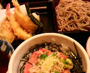 䖝oc