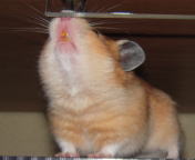 \`