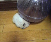 I
