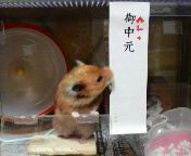 ˁI