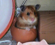 ˁ