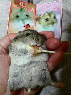 RVbg