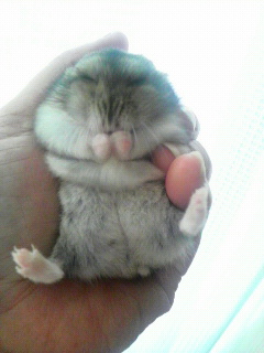 Ԃ