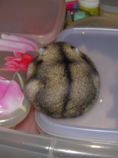 ܂`邢