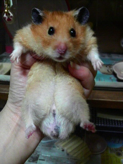 �d�����`