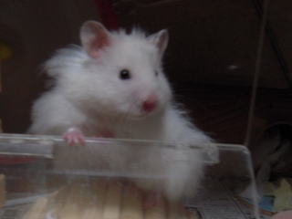 ���t�ς�������ǁc