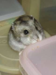 u^~