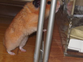 �s���������Ƃ��́c