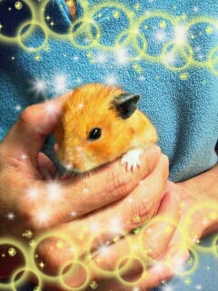 ۛ