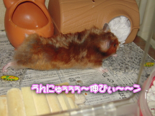 UÓc
