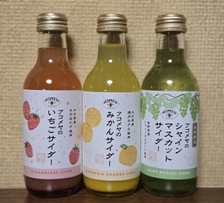 ���C�ɓ���́c