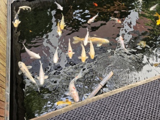 �ō����`�I
