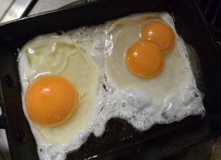 �ӂ��������