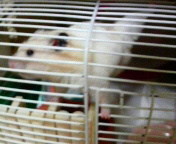 悧(:LM)U