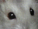 ܂`