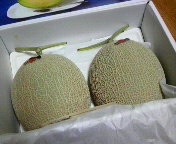 �V�񒆁A�P��́c