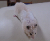 �Ђ���ف`����