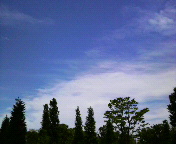 ���`���I