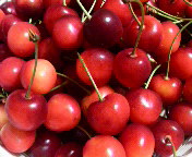 �����Ђ�`��(*'��'*)