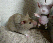 ���܂����Ԃ�����