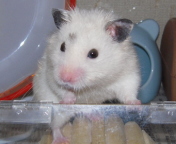 �y����������