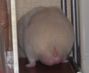 ���B���ă։B����