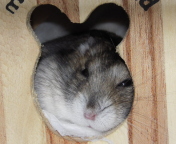 I